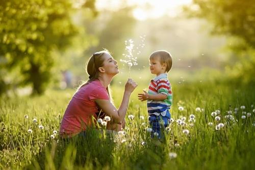 illinois child custody lawyer